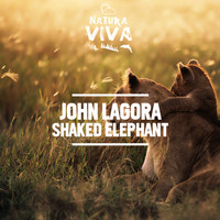 John Lagora - Shaked Elephant