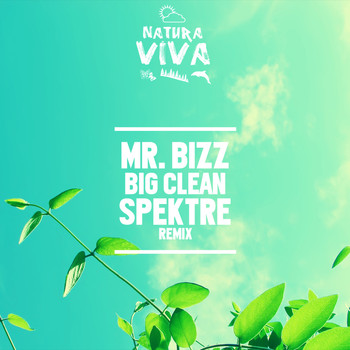 Mr. Bizz - Big Clean