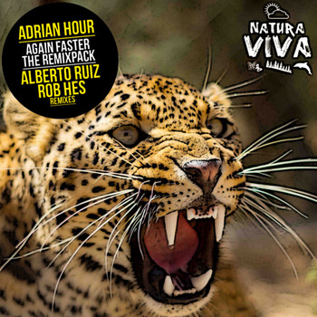 Adrian Hour - Again Faster - The Remixpack