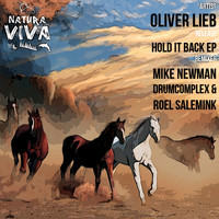 Oliver Lieb - Hold It Back