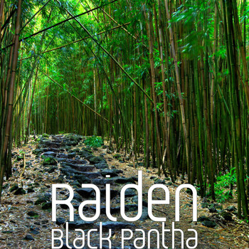 Raiden - Black Pantha