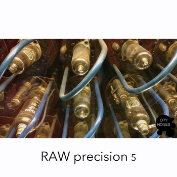 Various Artists - Raw Precision 5