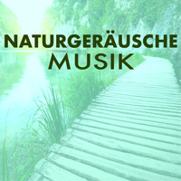 Buddha Klang - Naturgeräusche Musik für Meditation - Singvögel für Entspannen, Studieren, Lernen und Schlafen