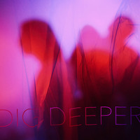 Inner Tongue - Dig Deeper (Explicit)