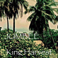 King Harvest - Jumbee