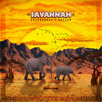 GroundBass, Hacoon - Savannah