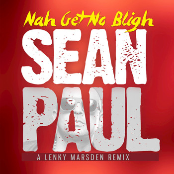 Sean Paul - Nah Get No Bligh (Remix)