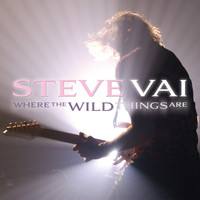 Steve Vai - Where the Wild Things Are (Live in Minneapolis)