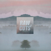 nohidea - Chillhop Raw Cuts 2