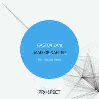 Gaston Zani - Mad Or Nah! EP