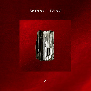 Skinny Living - 6