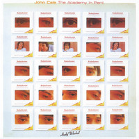 John Cale - The Academy In Peril