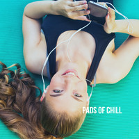 Meditation Zen Master, Reiki Tribe and Calming Sounds - Pads of Chill