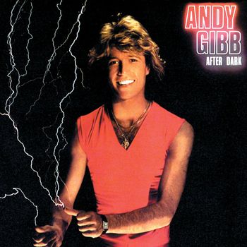 Andy Gibb - After Dark