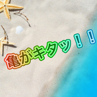 daiki - 亀がキタッ!!