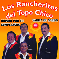 Los Rancheritos Del Topo Chico - Grandes Boleros