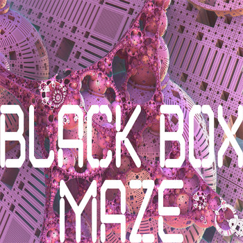 Black Box - Maze