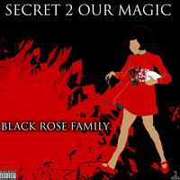 Various Artists, Various Artists - Secret 2 Our Magic