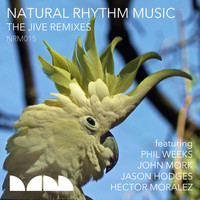 Natural Rhythm - The Jive Remixes