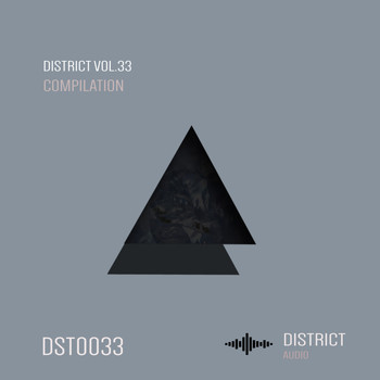 Various Artists - District 33