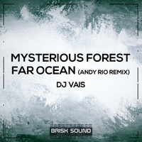 DJ Vais - Mysterious Forest / Far Ocean