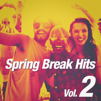 Partyhits, Spring Break, Spring Break DJ Party - Spring Break Hits, Vol. 2