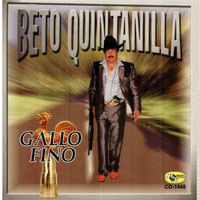 Beto Quintanilla - Gallo Fino