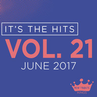 New Tribute Kings - It's the Hits! 2017, Vol. 22