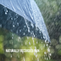 Rain Sounds Nature Collection, Rain Sounds Sleep and Ocean Sounds Collection - Naturally Recorded Rain