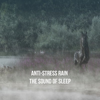 Rain, Ocean Sounds and Rainfall - Anti-Stress Rain: The Sound of Sleep