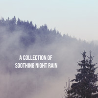 Rain Sounds, White Noise Therapy and Sleep Sounds of Nature - A Collection of Soothing Night Rain