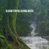 Musica Relajante, Massage Music and Massage Tribe - Album for Relaxing Music