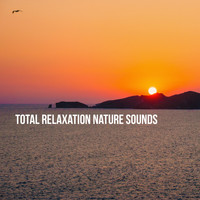 Nature Sounds, Rain for Deep Sleep and Nature Sound Collection - Total Relaxation: Nature Sounds