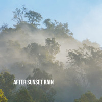 Rain Sounds Nature Collection, Rain Sounds Sleep and Ocean Sounds Collection - After Sunset Rain