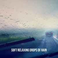 Rain, Ocean Sounds and Rainfall - Soft Relaxing Drops of Rain