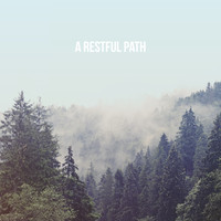 Nature Sounds, Rain for Deep Sleep and Nature Sound Collection - A Restful Path