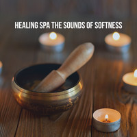 Meditation Zen Master, Reiki Tribe and Calming Sounds - Healing Spa: The Sounds of Softness