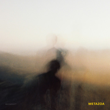 Weval - Metazoa