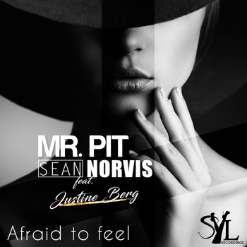 Mr. Pit, Sean Norvis - Afraid To Feel