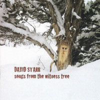 David Starr - Songs from the Witness Tree