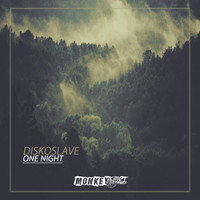 Diskoslave - One Night