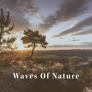 Nature Sounds, Rain Sounds and Rain - Waves Of Nature
