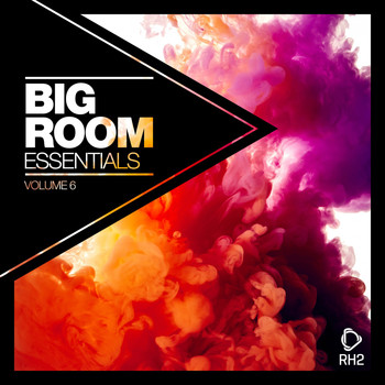 Various Artists - Big Room Essentials, Vol. 6