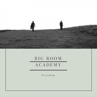Big Room Academy - Freedom