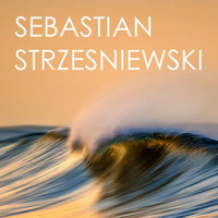 Sebastian Strzesniewski - Baltic