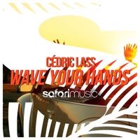 Cédric Lass - Wave Your Hands