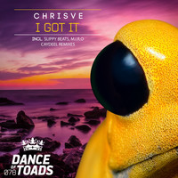 ChrisVe - I Got It Remixes