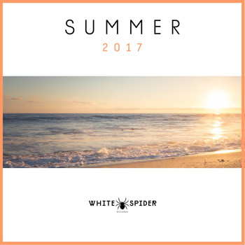Various Artists - Summer 2017