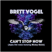 Brett Vogel - Can't Stop Now (feat. Mickey Shiloh)