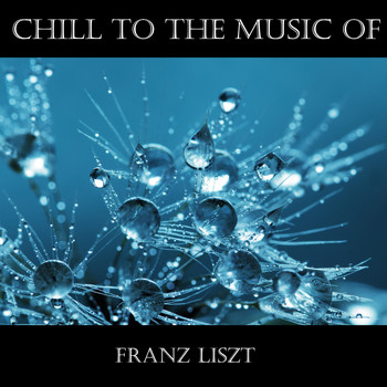 Franz Liszt - Chill To The Music Of Franz Liszt
